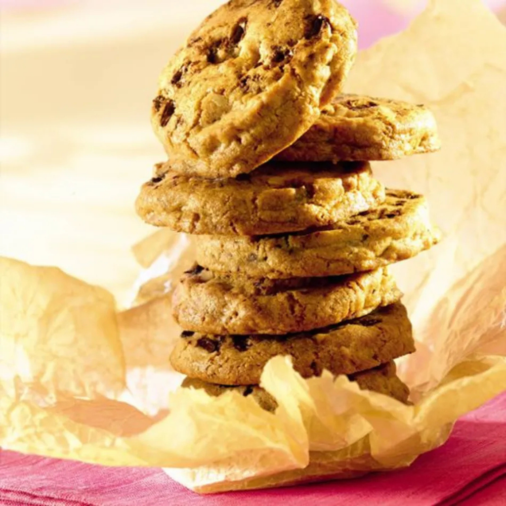 TEGRAL GALLETA 10KG PURATOS