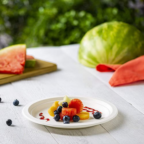 PLATO BIO 23CM
