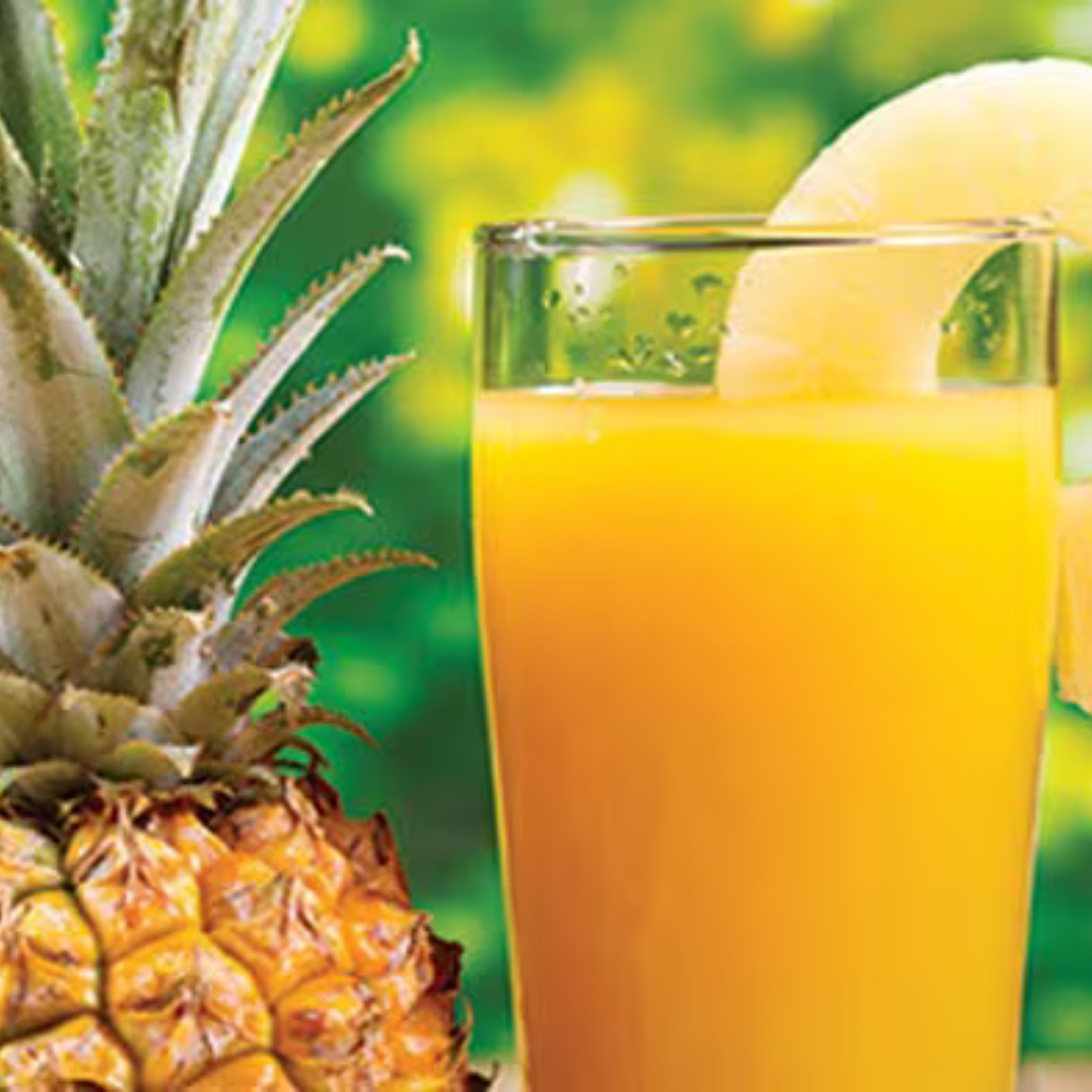 NECTAR PINA JUMEX 355ML