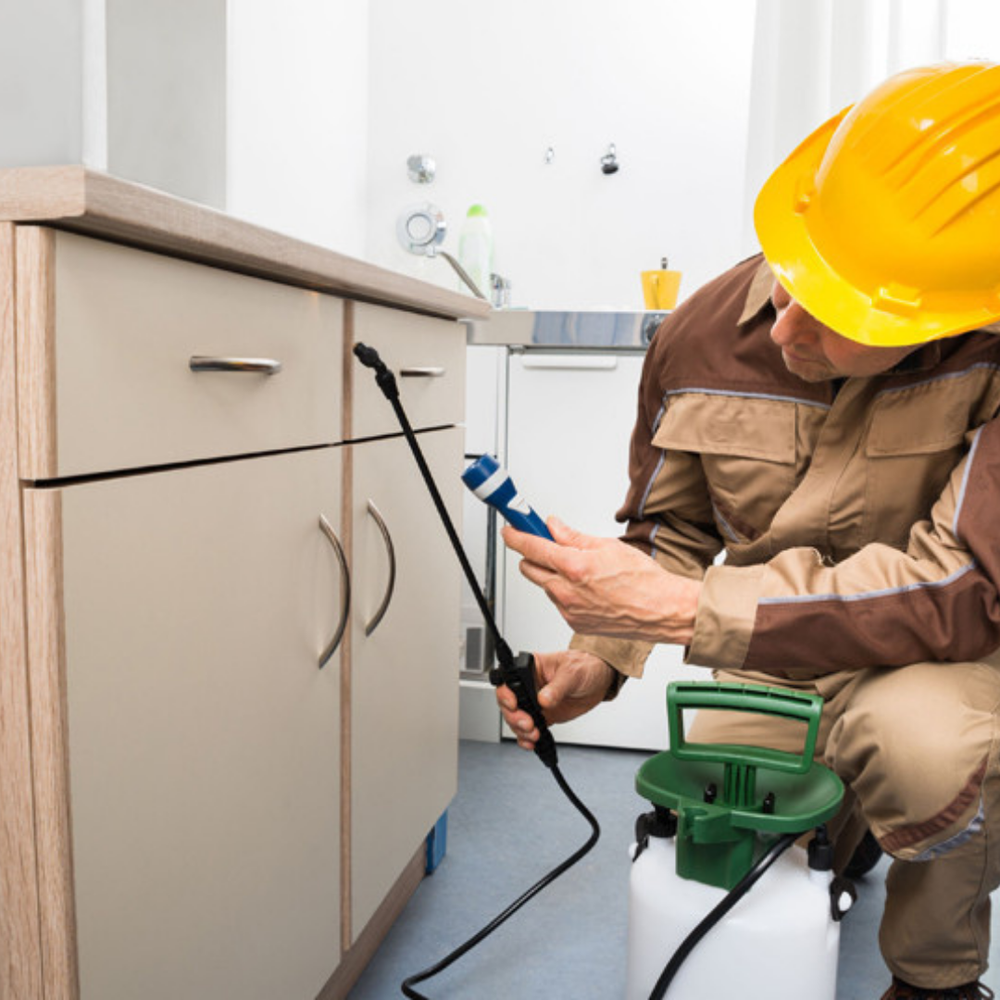 KLERAT CS INSECTICIDA CS 30 ML PARA DILUIR