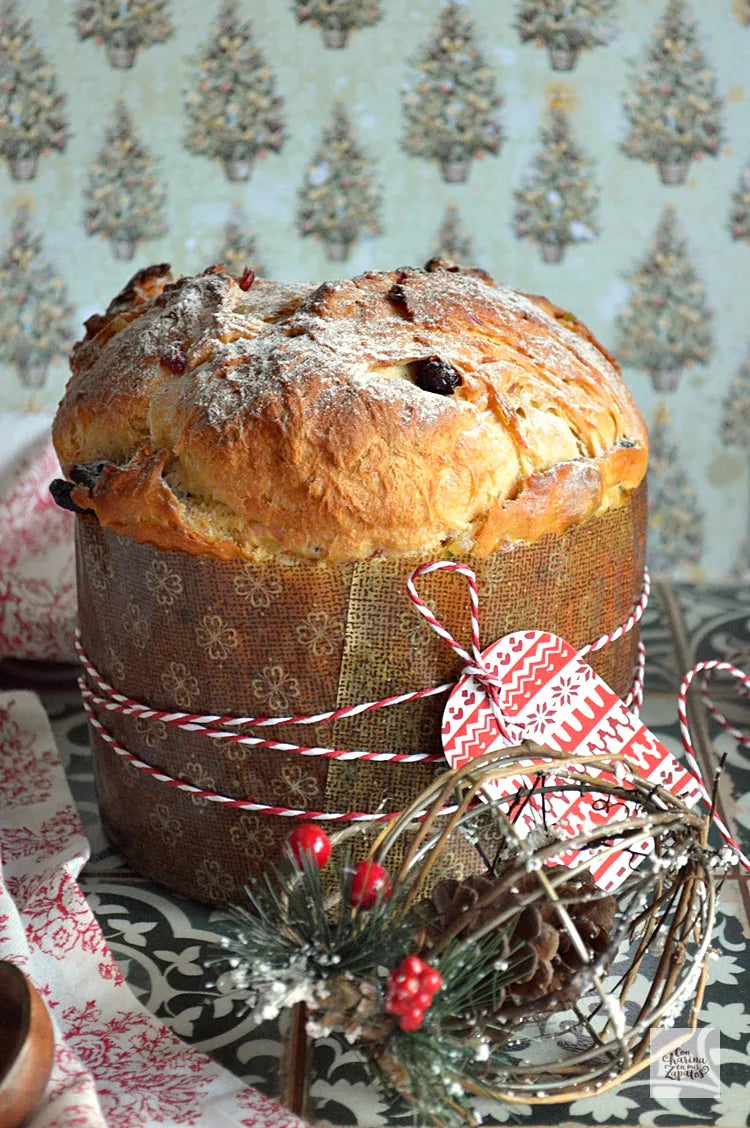 MOLDE PANETTONE 500 GR 115X105 MM