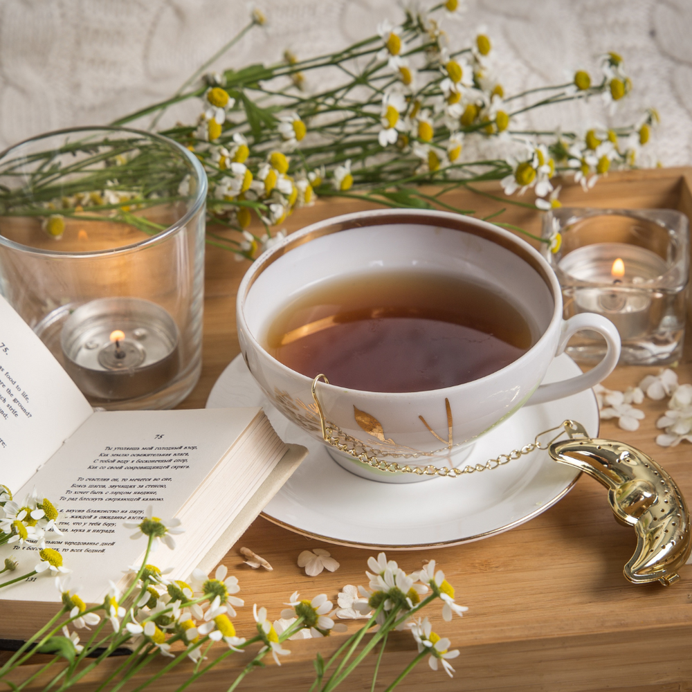 TE VERDE DILMAH CAMOMILE FLOWERS MANZANILLA 1X100