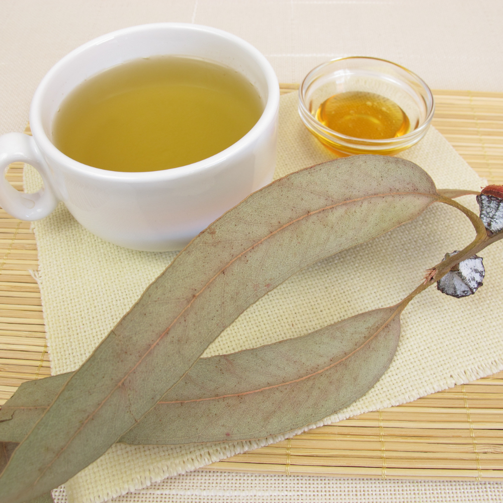 INFUSION HINDU EUCALIPTO MIEL X 20 UNIDADES