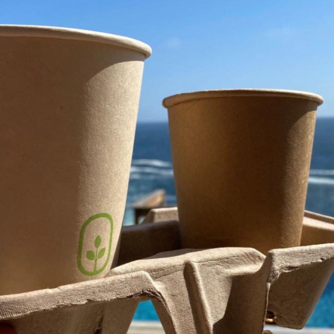 BANDEJA PORTA VASO 2 CAVIDADES