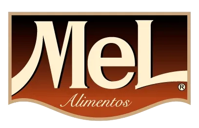 SYRUP MEL IRISH CREAM