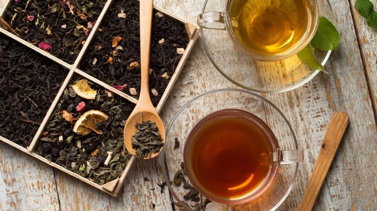 Infusiones de Té ⎪Dilmah