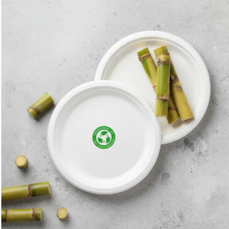 PLATO BIO 23CM