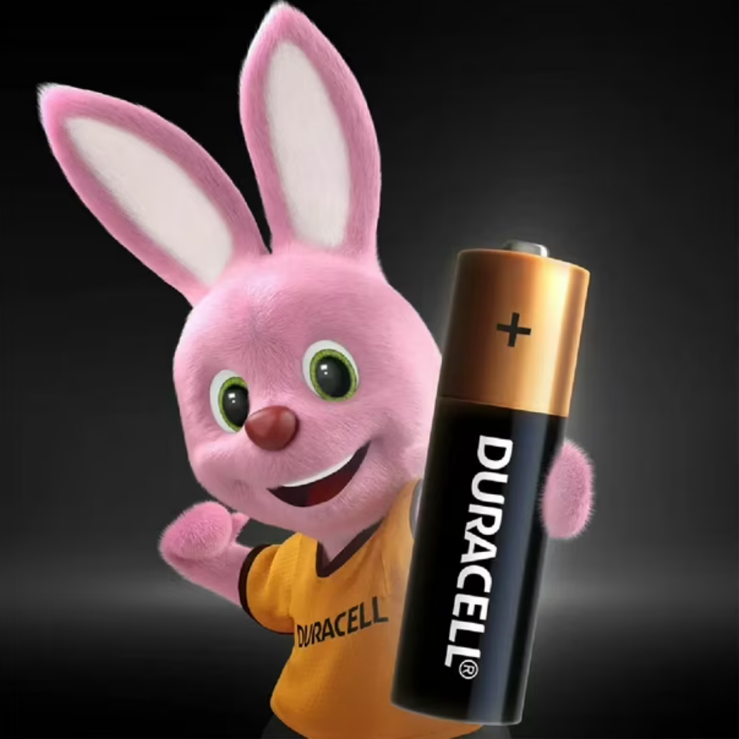 PILA DURACELL AA