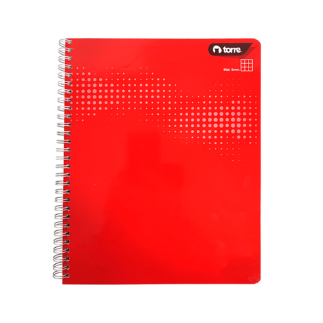 CUADERNO UNIV.TORRE CLASICO LISO 5MM 100HJ