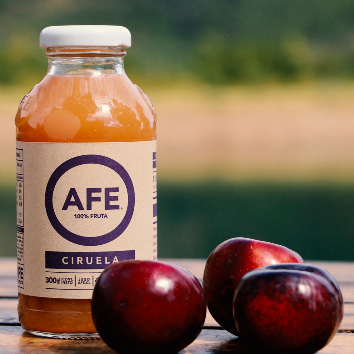 SURTIDO JUGO AFE 6X300ML