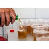 Vaso Economico Transparente 10oz - 300ml (50 Unidades)