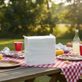 SERVILLETAS LUNCH CAJA DE 20 PACK X 500 UNIDADES