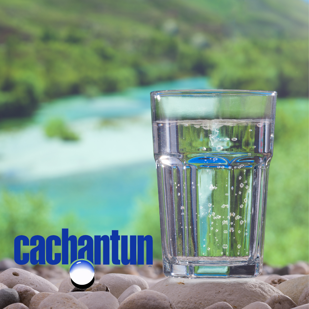 CACHANTUN S/G 600CCX12