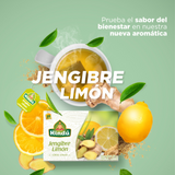 AROMATICA HINDU LAMINADA JENGIBRE LIMON X 20 UN