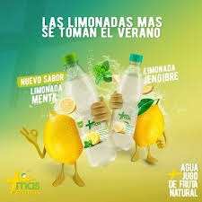 MAS LIMONADA JENGIBRE S-G 12X600