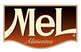SYRUP MEL HAZELNUT AVELLANA